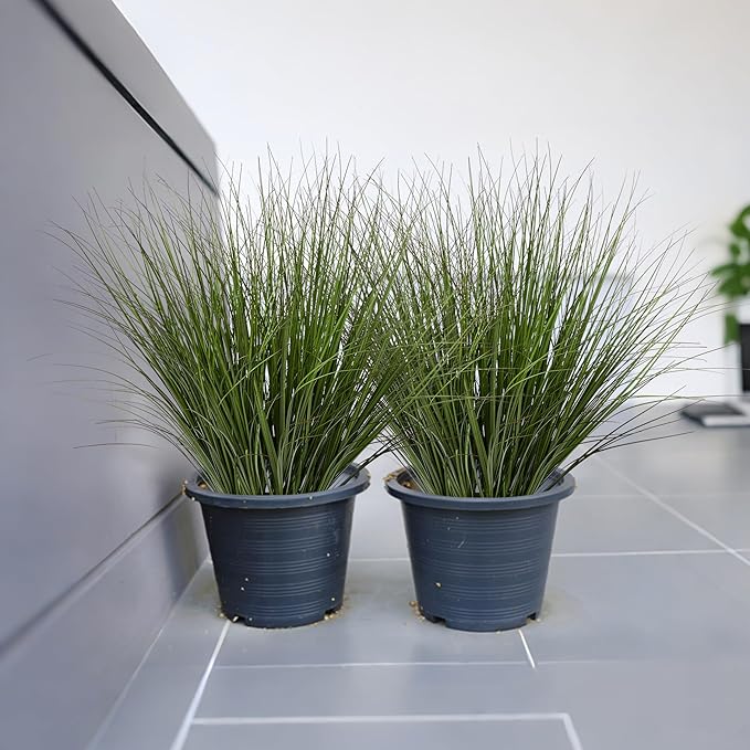 16PCS 17.3" Fake Plants Artificial Wheat Grass Greenery Plastic Plants Fake Grass Artificial Plants for Outdoor Decor Artificial Grass Plant with Greenery Stems for Indoor Home Decoration-Ruum Studio Home