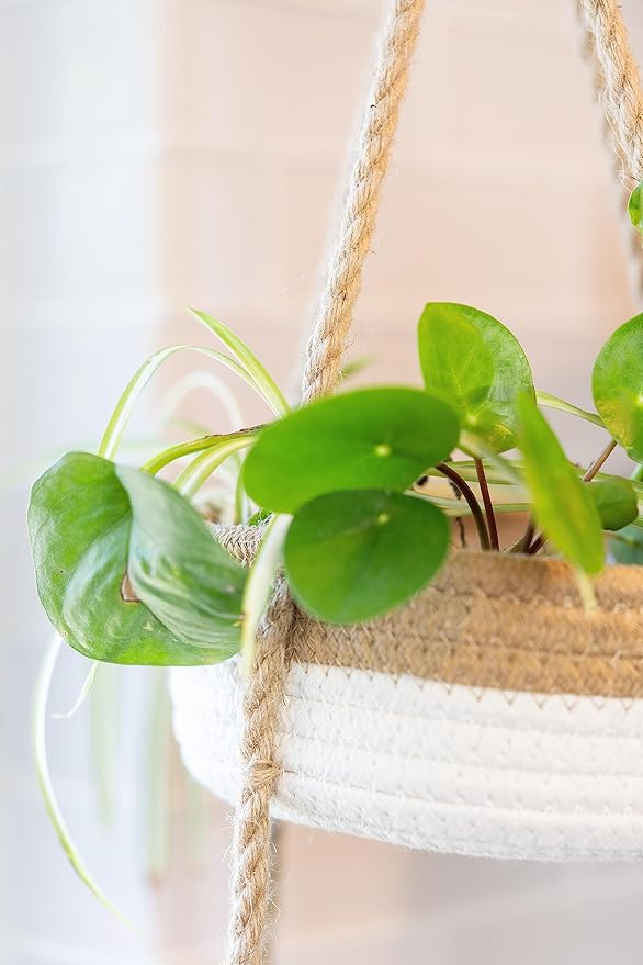CEDAR+PINE 3-Tier Lined Hanging Fruit Basket Natural Woven Cotton with Strong Jute Rope Hanger in Gift Box Modern Hanging Basket for Kitchen-Ruum Studio Home