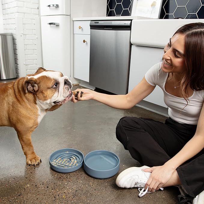 The Slowdown Bowl Silicone Slow Feeder for Dogs & Puppies, Slow Eating, Modern Lick Mat Design, Reduces Gulping, Fits 2 Cups 7.5” Across x 1.5” Tall, Mealtime Challenge, Medium-Spruce-Ruum Studio Home