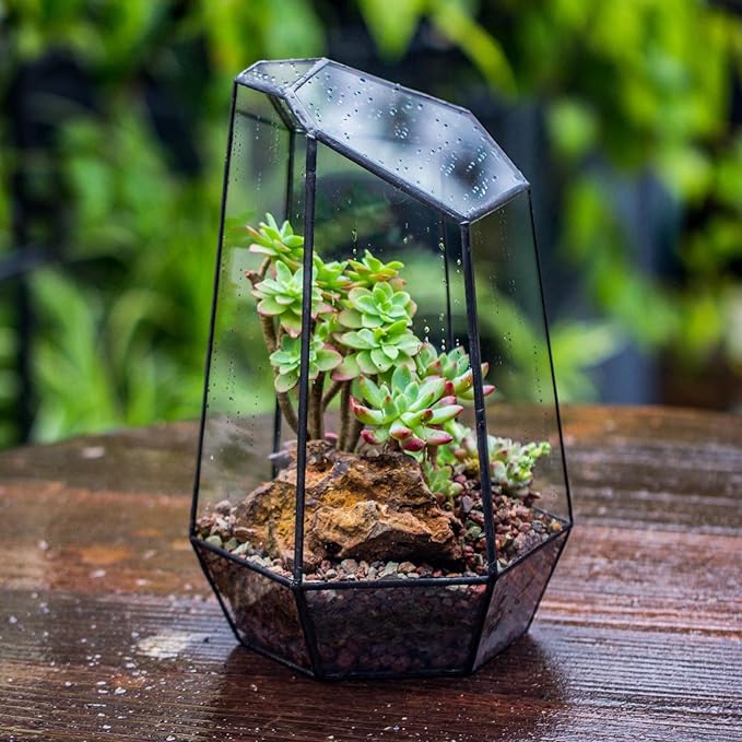 NCYP Geometric Glass Terrarium Planter for Succulent, Small Cacti, Black Irregular Opened Container Pot, Indoor Home Garden Office Tabletop Decor, 6.5" x 5.7" x 9.8" (No Plants, No Door)-Ruum Studio Home