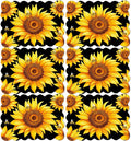 Sunflower Placemats Set of 6 Summer Plastic Table Mats Summer Floral Place Mats Washable Vinyl Seasonal Spring Sunflower Table Decoration for Indoor Outdoor Party Kitchen Dining-Ruum Studio Home