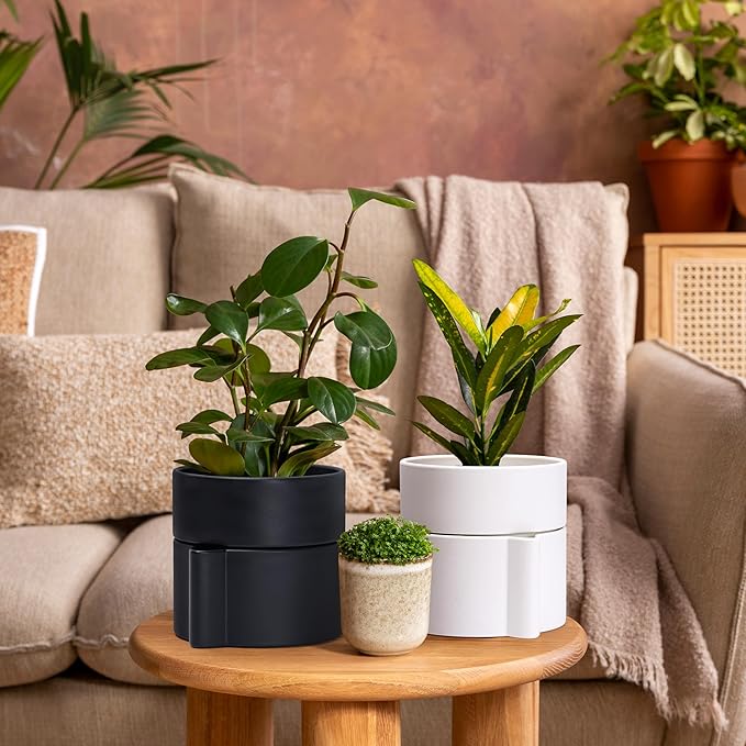 Phoenix Vine 6.5 Inch Self-Watering Planter Pot with Terracotta Insert, Deep Water Reservoir, and Ceramic-Alike BPA-Free Plastic Pot for Plant, Modern Planter for Houseplants, White, 53-A-S-1-Ruum Studio Home