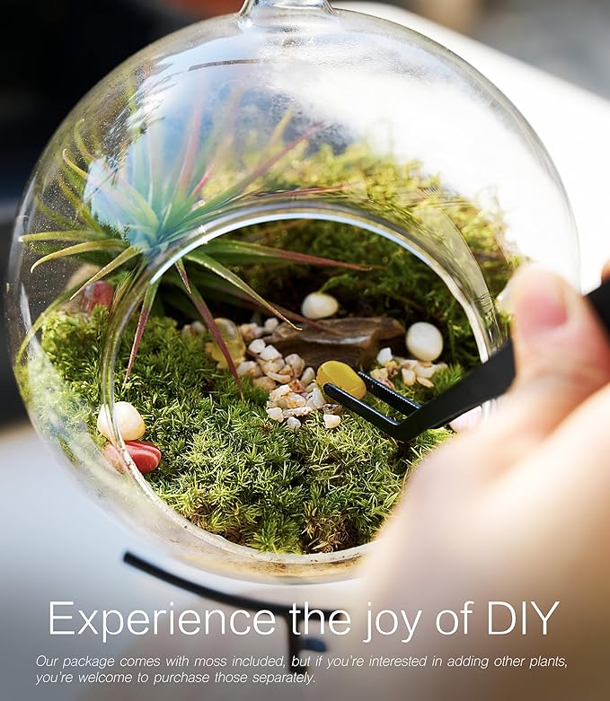 15-Piece Terrarium Kit with Live Moss – DIY Glass Globe Set with Tools, Soil, Stones & Spray Bottle – Indoor Mini Garden Gift for Plant Lovers, Home Decor & Zen Craft-Ruum Studio Home