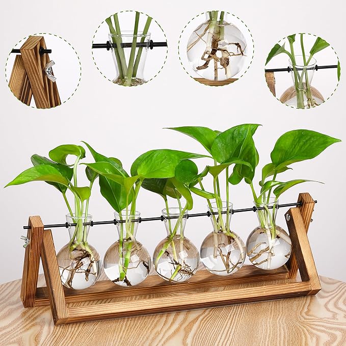 YIBOT Propagation Stations,Plant Terrarium with Wooden Stand,Plant Lover Gifts for Women for Hydroponics Plants Home Garden Wedding Decor(5 Bulb Vase)-Ruum Studio Home