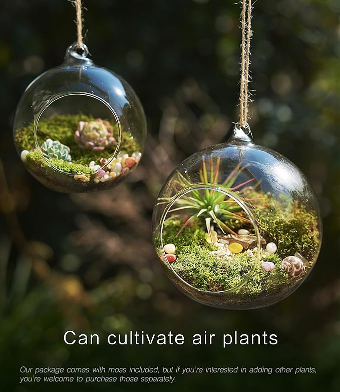 15-Piece Terrarium Kit with Live Moss – DIY Glass Globe Set with Tools, Soil, Stones & Spray Bottle – Indoor Mini Garden Gift for Plant Lovers, Home Decor & Zen Craft-Ruum Studio Home