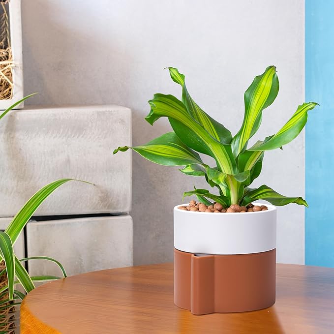 6.5 Inch Self-Watering Planter Pot with Terracotta Insert, Deep Water Reservoir, and Ceramic-Alike BPA-Free Plastic Pot for Plant, Modern Planter for Houseplants, Terracotta/White, 53-B-S-6-Ruum Studio Home