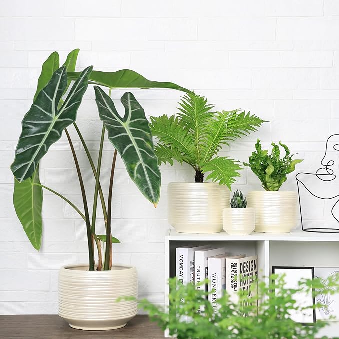 10 Inch Ceramic Plant Pot with Drainage – Large Flower Pot for Indoor Outdoor Plants, Modern Decorative Planter for Patio, Balcony, Garden, or Home Decor-Ruum Studio Home