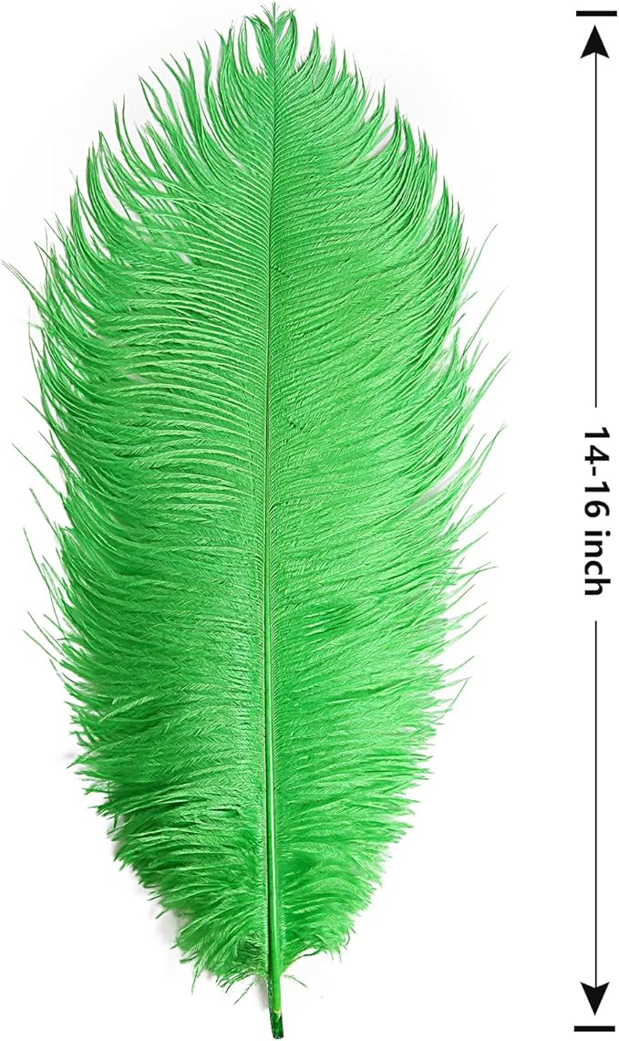 THARAHT Green Ostrich Feathers 12pcs Large Natural Bulk 14-16Inch 35cm-40cm for Wedding Party Centerpieces Mardi Gras and Home Decoration Feathers-Ruum Studio Home