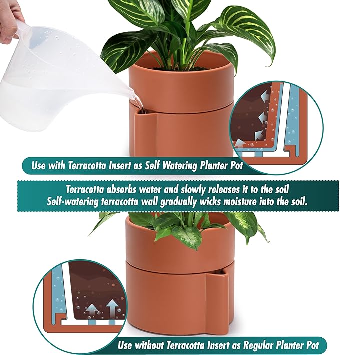 Phoenix Vine 6.5 Inch Self-Watering Planter Pot with Terracotta Insert, Deep Water Reservoir, and Ceramic-Alike BPA-Free Plastic Pot for Plant, Modern Planter for Houseplants, Terracotta, 53-A-S-3-Ruum Studio Home
