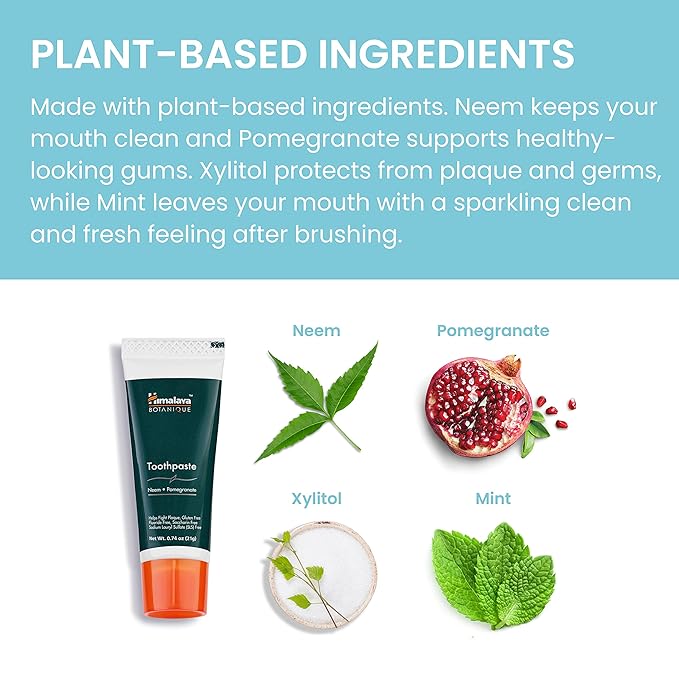 Himalaya Botanique Neem & Pomegranate Travel Toothpaste, Mint Flavor - Travel Size Fluoride Free Toothpaste Fights Plaque & for Fresh Breath - Vegan, Gluten Free, No SLS, 0.74 oz (Pack of 20)-Ruum Studio Home