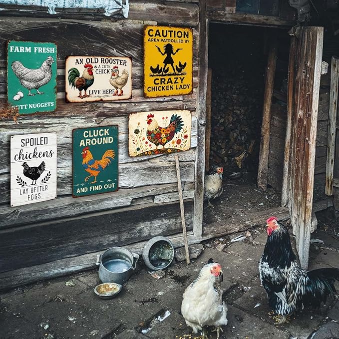 6 Pack Chicken Coop Signs – Vintage Farm Accessories Funny Metal Tin Signs for Outdoor Chicken Coop Decor, Farmhouse Wall Art, Rustic Barn Yard Decorations, 8x12 Inch-Ruum Studio Home