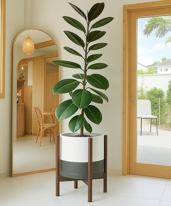 D'vine Dev Ceramic Planter with Walnut Color Stand - 12 Inch Modern Round Flower Pot with Wood Planter Holder, White/Grey, 55-B-W-6-Ruum Studio Home