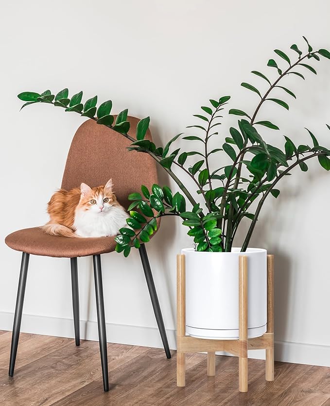 D'vine Dev Ceramic Planter with Natural Stand - 10 Inch Modern Round Flower Pot with Wood Planter Holder, White, 55-B-K-1-Ruum Studio Home