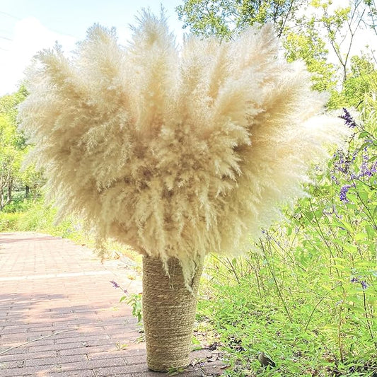 40" 22PCS Dried Pampas Grass Decor Tall,Large Natural Beige pompas Grass Tall Pampas Grass for Floor Vase,Wedding,Party,Farmhouse,Boho Home Decor,and Creating a Bohemian Ambiance-Ruum Studio Home