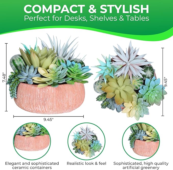 Premium Assorted Artificial Succulent Collection - Large Real Touch Artificial Cactus, Aloe Vera & Succulent Plants Artificial with Pots for Home Office Indoor (Artificial Coconut Shell - Pot)-Ruum Studio Home