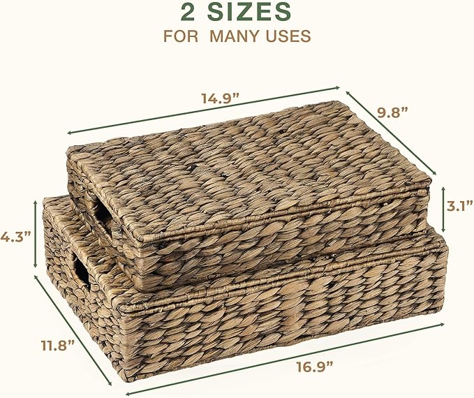 Set of 2 Decorative Storage Boxes With Lids for Home Decor, Shelves-Ruum Studio Home