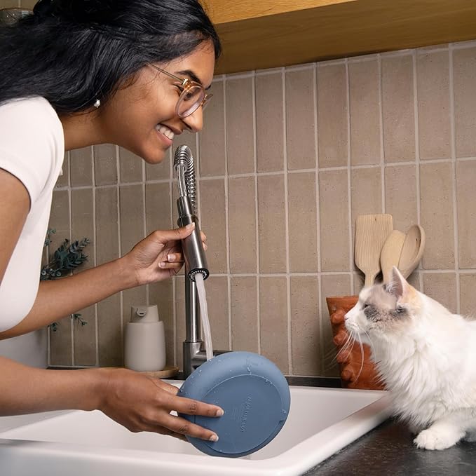 The Slowdown Bowl Silicone Slow Feeder for Cats & Kittens, Slow Eating Mealtime Solution with Modern Lick Mat Design, Reduces Gulping, Fits 1 Cup 6” Across x 1.25” Tall, Small-Tan-Ruum Studio Home