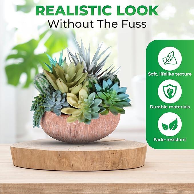 Premium Assorted Artificial Succulent Collection - Large Real Touch Artificial Cactus, Aloe Vera & Succulent Plants Artificial with Pots for Home Office Indoor (Artificial Coconut Shell - Pot)-Ruum Studio Home