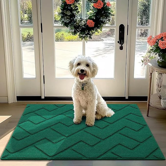 hicorfe Front Door Mat Outside Entrance,32"x40" Absorbent Muddy Dirt Resist Welcome Door Mats Outdoor Indoor,Stain and Fade Resistant,Non Slip Backing Entry Mat Doormat for Entryway(Evergreen)-Ruum Studio Home