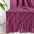 inhand Knitted Throw Blanket for Couch and Bed, Soft Living Room Home Decor Knitted Blanket with Tassel, Outdoor Lightweight Breathable Summer Blanket, Farmhouse Warm Woven Decorative, 50"x60"-Ruum Studio Home