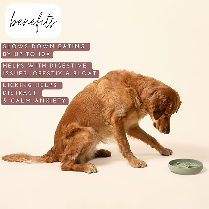The Slowdown Bowl Silicone Slow Feeder for Dogs & Puppies, Slow Eating Modern Lick Mat Design, Reduces Gulping, Fits 2 Cups 7.5” Across x 1.5” Tall, Mealtime Challenge, Medium-Charcoal-Ruum Studio Home