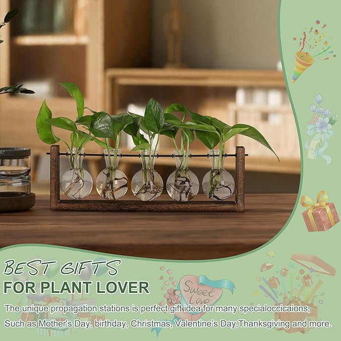 YIBOT Plants Propagation Stations,Plant Terrarium with Wooden Stand,Wall Hanging Glass Planter Plant Propagation Vase for Indoor Office Home Garden Decor Plant Lover Gifts for Women-5 Bulbs-Ruum Studio Home