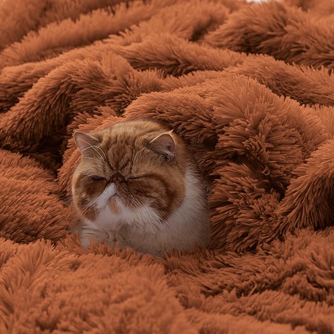 Bedsure GentleSoft Fluffy Burnt Orange Blankets Queen Size for Bed, Cozy Thick Sherpa Faux Fur Fleece Fuzzy Plush Winter Warm Soft Full Queen Blankets, Bedroom Decor Orange Gifts for Women Men, 90x90-Ruum Studio Home