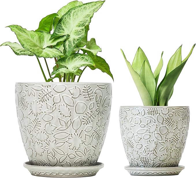 8 Inch + 6 Inch Retro Ceramic Planter Set of 2 with Drainage Hole and Saucer for Multiple Plants, Indoor-Outdoor Garden Pots for Succulent, Orchid, and Flower (Retro White)-Ruum Studio Home