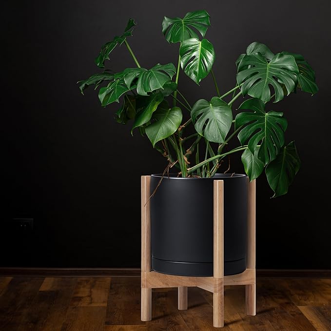D'vine Dev Ceramic Planter with Natural Stand - 12 Inch Modern Round Flower Pot with Wood Planter Holder, Black, 55-B-J-2-Ruum Studio Home