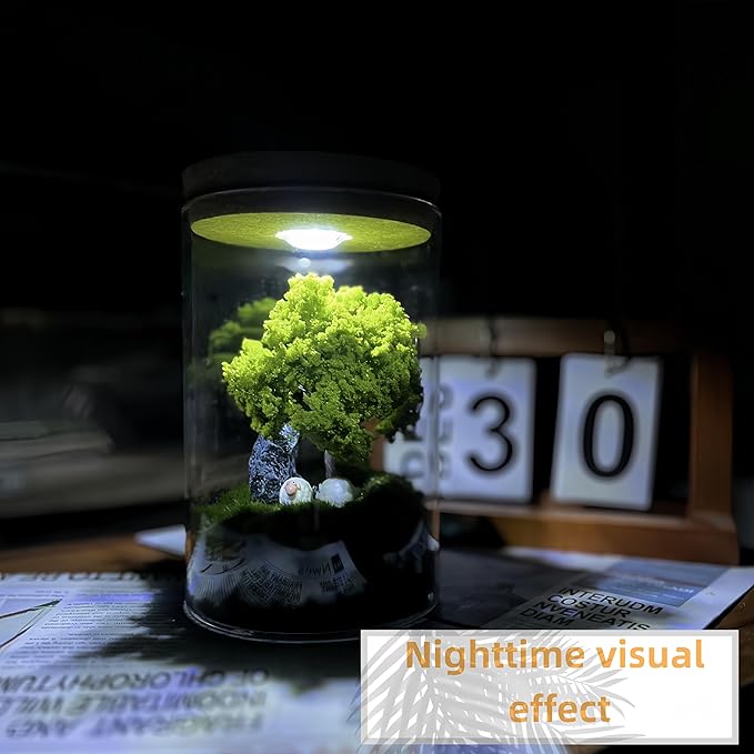 Oakwell Eternal Nature Desktop Ornament, a Miniature Scene Model with LED Light, a Gift for Yourself and Friends, Suitable for Decorating Scenes Such as Office Desks, Closets, Bedrooms, etc.-Ruum Studio Home