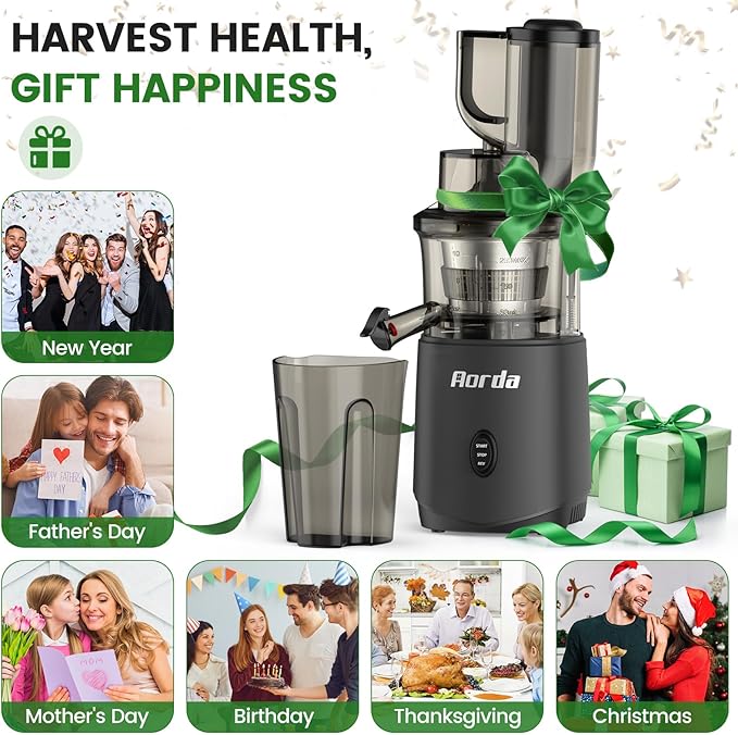 Slow Masticating Cold Press Juicer: Cold Pressed Juicer Machines For Vegetable And Fruit 200W, Matte Grey-Ruum Studio Home