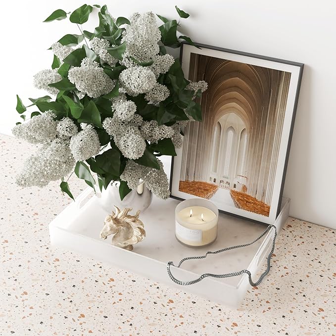 Large Acrylic Serving Tray Decorative Ottoman Coffee Table Vanity Tray Tea Fruit Platter Snack Appetizer Dessert Drink with Handles for Bar Kitchen Party, Frosted-Ruum Studio Home