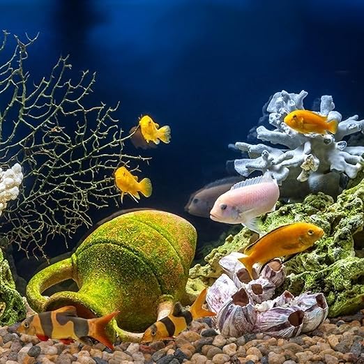 5 lbs Drainage Rocks for Potted Plants, 1/5 Inch Small Pebbles for Indoor Plants, Decorative Gravel for Vases, Bamboo, Succulent, Terrarium, Crafts, Cactus-Ruum Studio Home