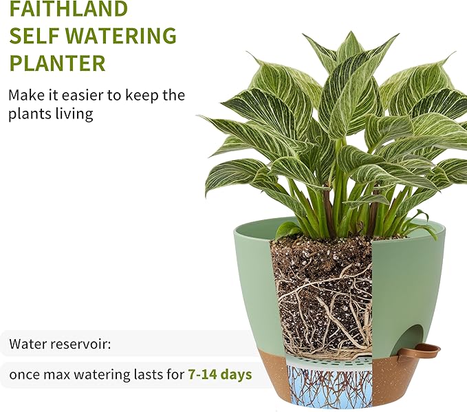 FaithLand 3-Pack Planter Pots, 10 9 8 Inch Self Watering Flower Pots for Indoor Outdoor Garden Plants, Green with Brown-Ruum Studio Home