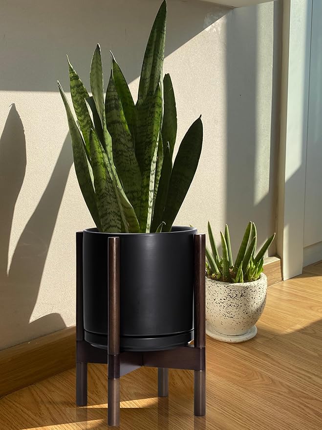 D'vine Dev Ceramic Planter with Walnut Color Stand - 10 Inch Modern Round Flower Pot with Wood Planter Holder, Black, 55-B-X-2-Ruum Studio Home