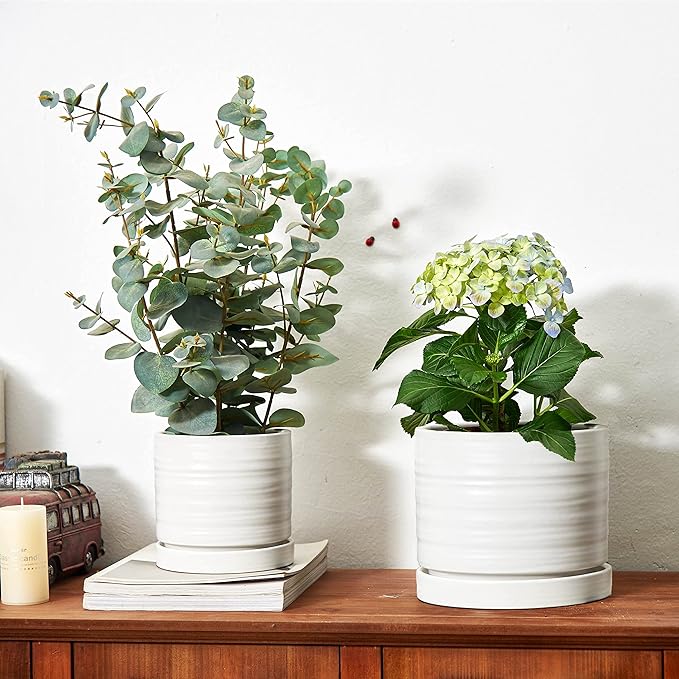 6 + 8 Inch Plant Pots, Ceramic Planter Pot with Drainage Hole & Saucer, Indoor/Outdoor Cylinder Round Planter Pot, Matte White-Ruum Studio Home