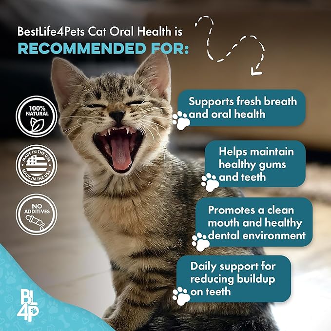 Cat Bad Breath & Oral Health Remedy, Natural Dental Care Cats Teeth, Mouth and Gums, Easy to Use Daily Supplement for Stomatitis, Gingivitis, Plaque & Tartar Control for Cats, 800 Small Pills-Ruum Studio Home
