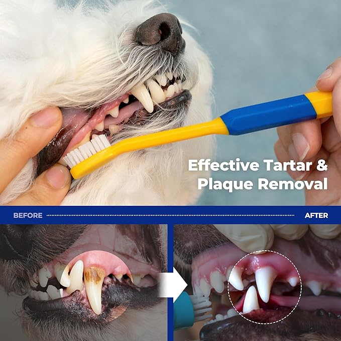 PETHROOM] Pet Toothbrush | Dogs and Cats Teeth Brushing Cleaning Tooth Care | Soft Bristle Cleaning Toothbrush for Dog Puppy Cat, Removing Old Plaque and Tartar (Medium)-Ruum Studio Home