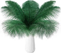 THARAHT 24pcs Ostrich Feathers Natural Bulk 10-12Inch 25cm-30cm for Wedding Party Centerpieces Easter Gatsby Flower Arrangement and Home Decorate Ostrich Feathers,Cyan-Ruum Studio Home