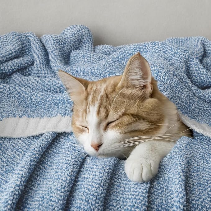 MIULEE Blue Super Soft Throw Blanket for Bed, Twin Size Cozy Fluffy Warm Blankets Knit Blankets for Couch, Sofa, Chair, Living Room, Camping, Picnic, 60 x 80 inch-Ruum Studio Home