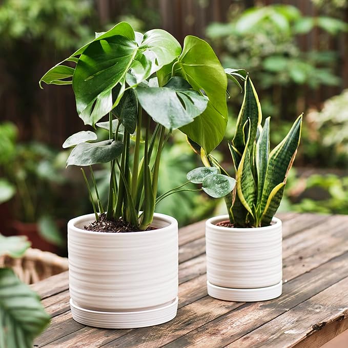 6 + 8 Inch Plant Pots, Ceramic Planter Pot with Drainage Hole & Saucer, Indoor/Outdoor Cylinder Round Planter Pot, Matte White-Ruum Studio Home