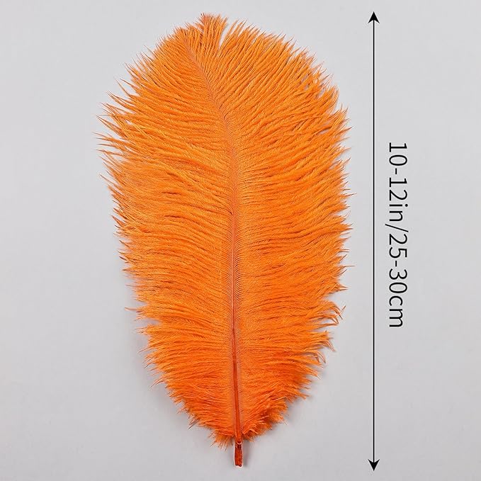 THARAHT Orange Ostrich Feathers 12pcs Natural Bulk 10-12Inch 25cm-30cm for Crafts Wedding Party Centerpieces Halloween and Home Decoration Feathers-Ruum Studio Home