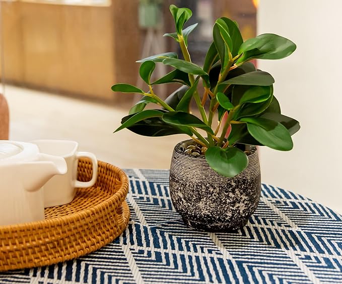 AlphaAcc Artificial Plants Potted Real Looking Small Faux Plant with Rustic Black Cement Planter for Kitchen Office Desk Bookshelf Decor (Ficus Plant)-Ruum Studio Home