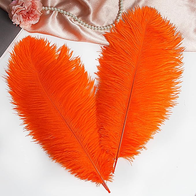 THARAHT Orange Ostrich Feathers 12pcs Large Natural Bulk 12-14Inch 30cm-35cm for Wedding Party Centerpieces Halloween and Home Decoration Feathers-Ruum Studio Home