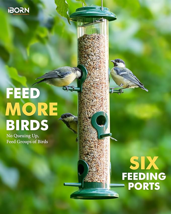iBorn Metal Bird Feeders 6 Ports Hanging Wild Bird Seed Feeder for Mix Seed Blends, Niger Seed Feeder, Sunflower Heart, Birdbath, Heavy Duty All Metal Green Finishing 14 Inch 6Port-Ruum Studio Home