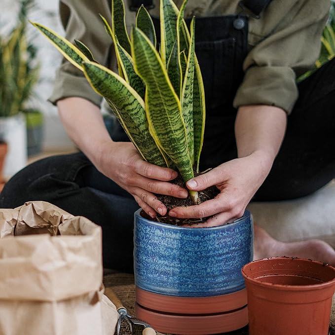 6 Inch Plant Pots, Ceramic Planter Pot with Drainage Hole & Saucer, Indoor/Outdoor Cylinder Round Planter Pot, Aqua Blue & Terracotta Red-Ruum Studio Home