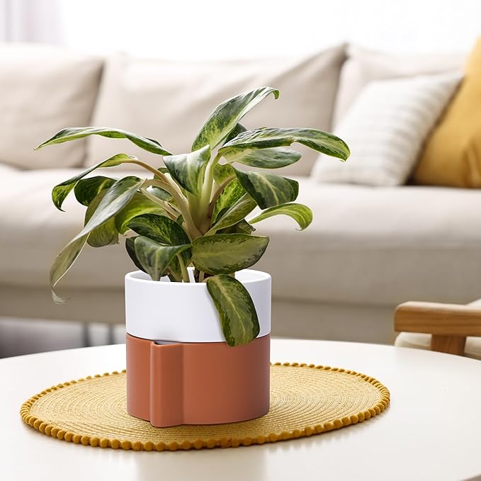 6.5 Inch Self-Watering Planter Pot with Terracotta Insert, Deep Water Reservoir, and Ceramic-Alike BPA-Free Plastic Pot for Plant, Modern Planter for Houseplants, Terracotta/White, 53-B-S-6-Ruum Studio Home