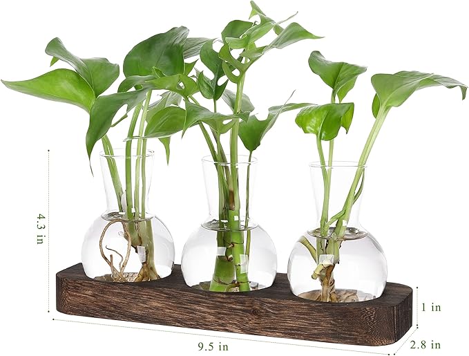 YIBOT Propagation Stations,Plant Propagation Vase,Desk Plant Terrarium with Retro Wooden Stand,Plant Lover Gifts for Women for Hydroponics Plants Home Garden Wedding Decor(3 Vase)-Ruum Studio Home