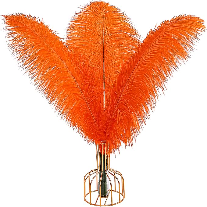 THARAHT Orange Ostrich Feathers 12pcs Large Natural Bulk 12-14Inch 30cm-35cm for Wedding Party Centerpieces Halloween and Home Decoration Feathers-Ruum Studio Home