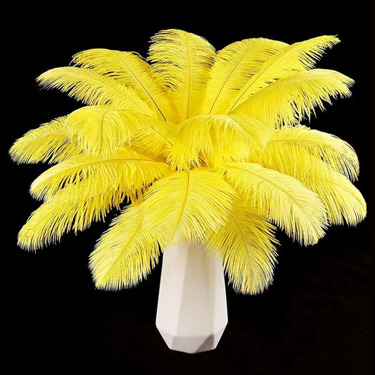 THARAHT Yellow Ostrich Feathers 12pcs Natural Bulk 8-10Inch 20cm-25cm for Crafts Wedding Party Centerpieces Halloween and Home Decoration Feathers-Ruum Studio Home